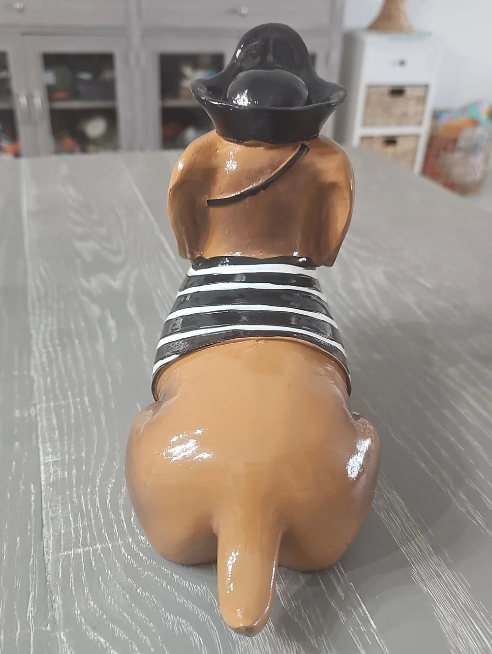 New! Halloween Pirate Costume Dachshund Dog with Trick Or Treat Pumpkin